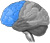 Frontal Lobe